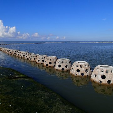 West_Bay_Mooring_BUS_Goliath_Reef_Balls