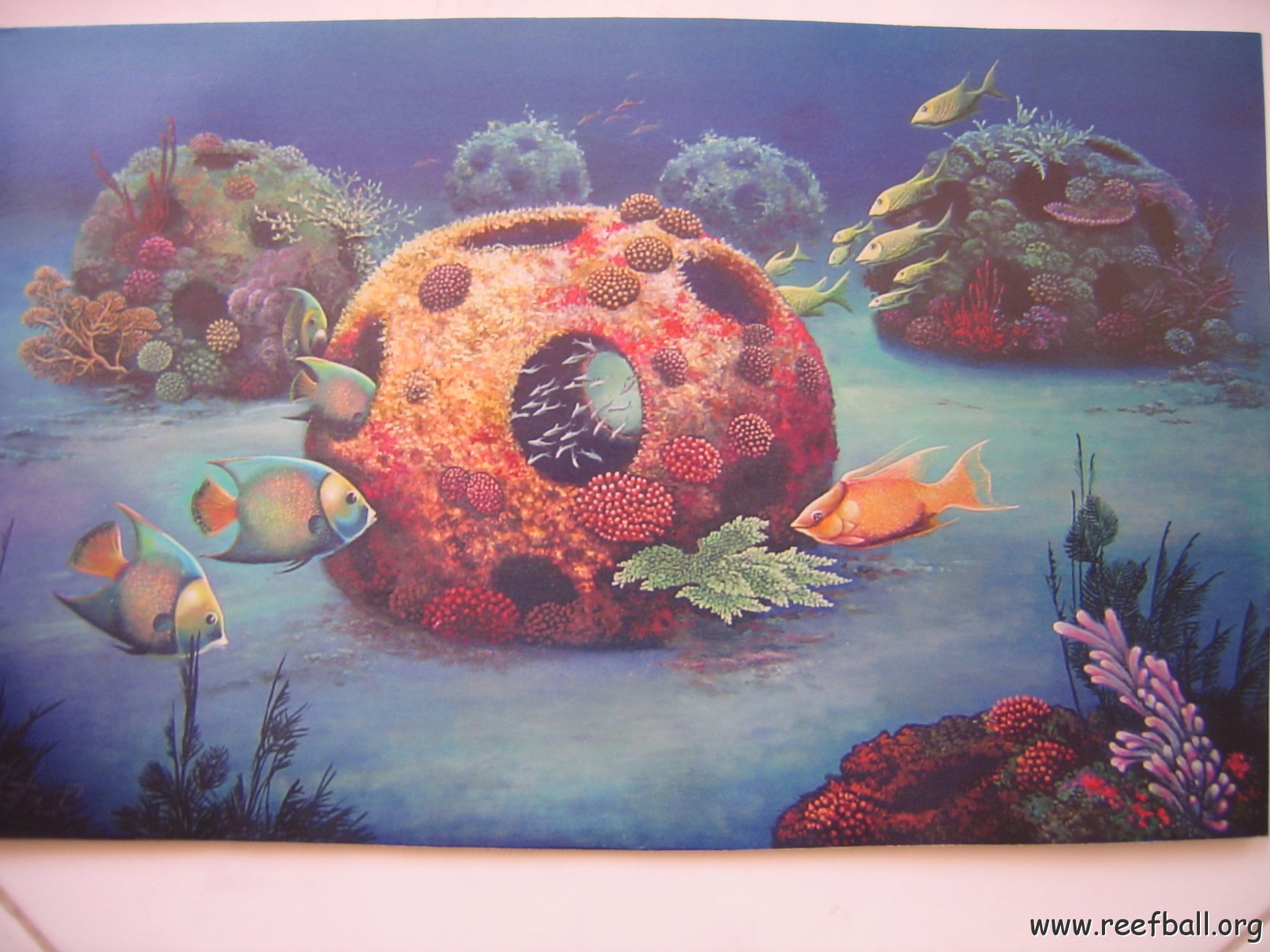 REEFBALLMEXICOARTWORK 001