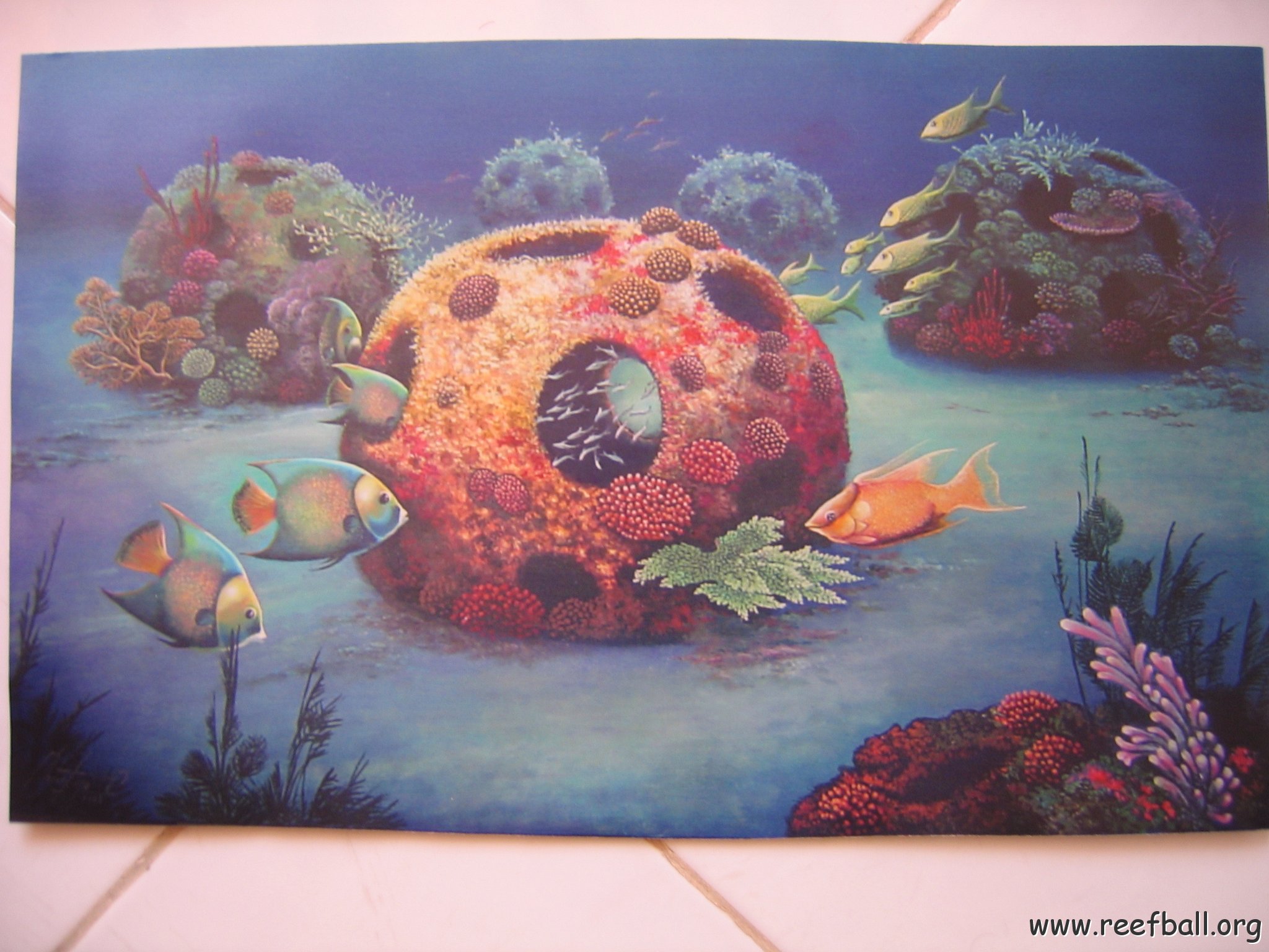 REEFBALLMEXICOARTWORK 004