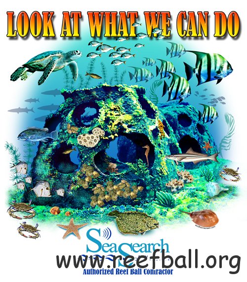 reefballtshirtseasearch