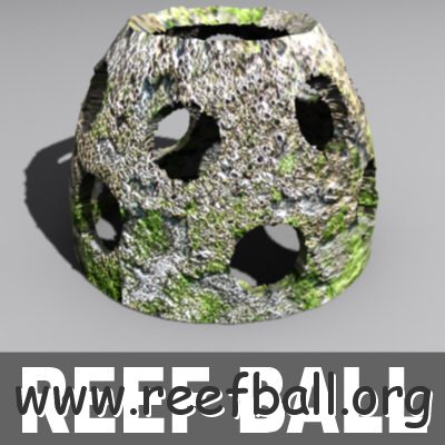 reefball02.jpgaf3b4fe2-3dee-44ab-a38d-ec904957b42bLarge