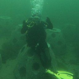 Reef-balls-with-diver-banner-692x255