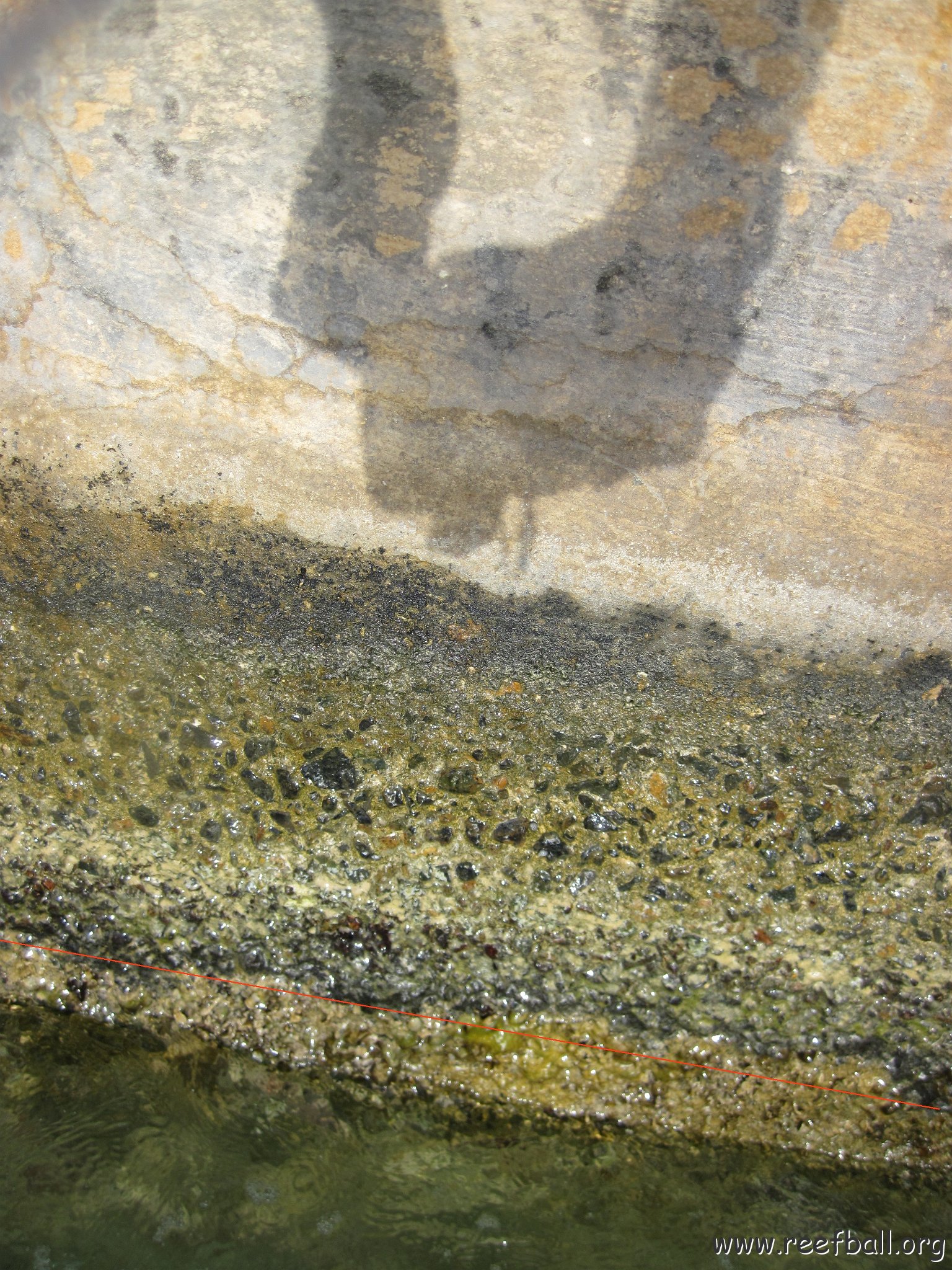 BongoloBayDockRedLineISbiologicaltideline