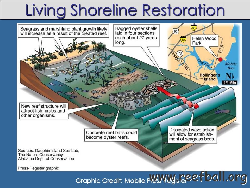 Living+Shoreline+Restoration