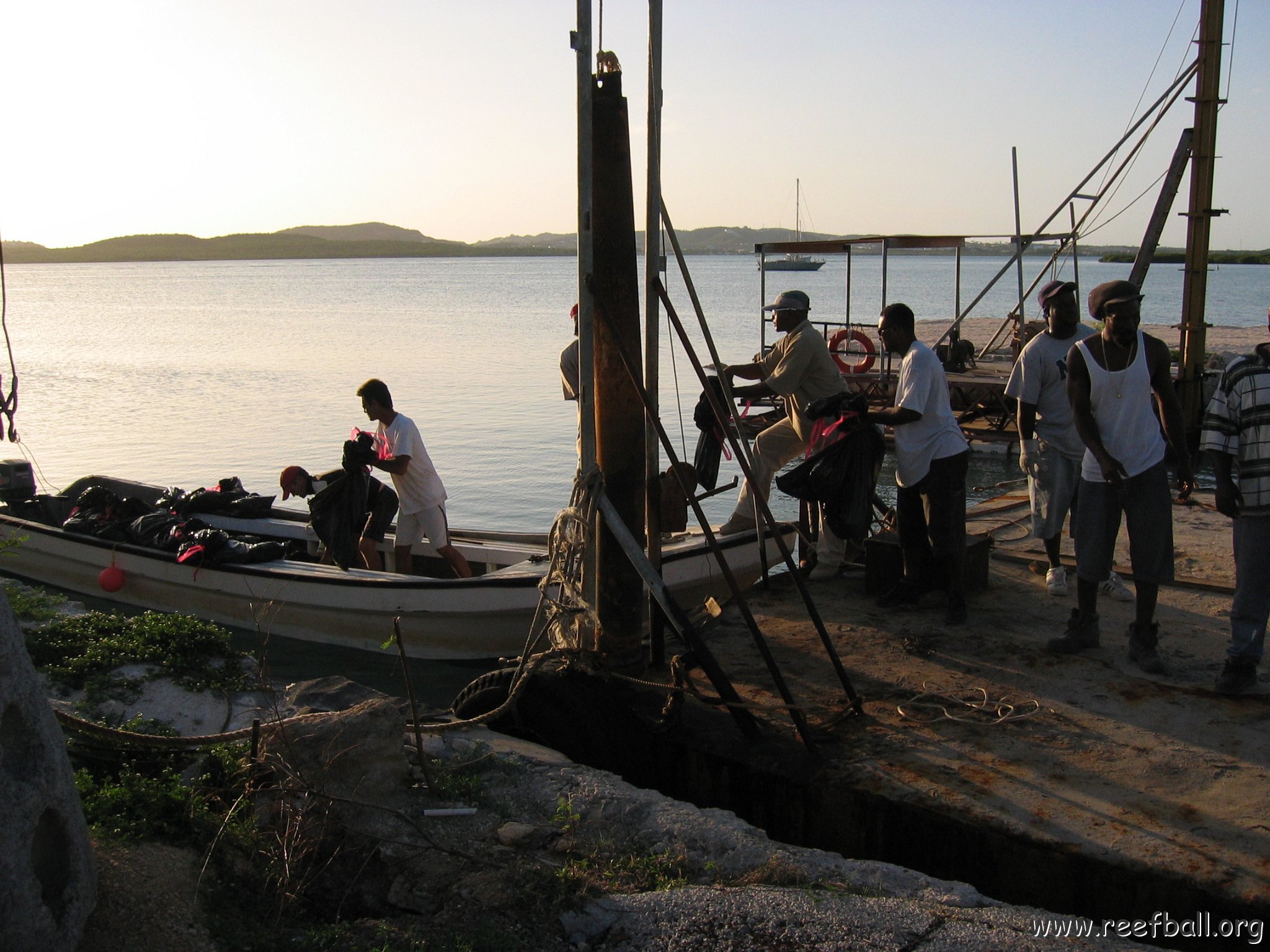 openingcontainerandfirstday4000mangroves_012