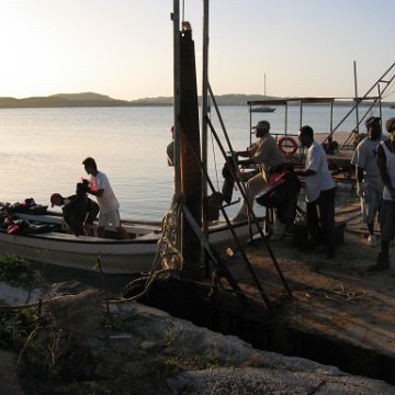 openingcontainerandfirstday4000mangroves_012