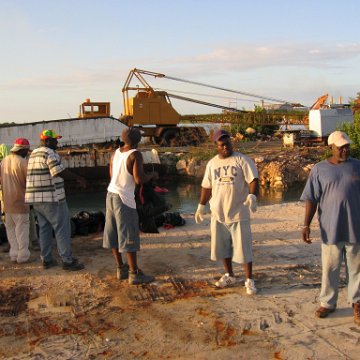 openingcontainerandfirstday4000mangroves_017