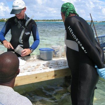 Reef Ball Coral Team Project Activation for Windward Breakwater Project