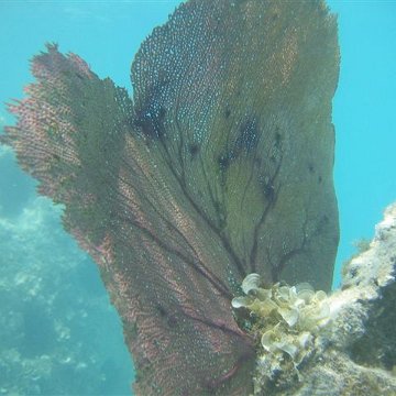 img_0481