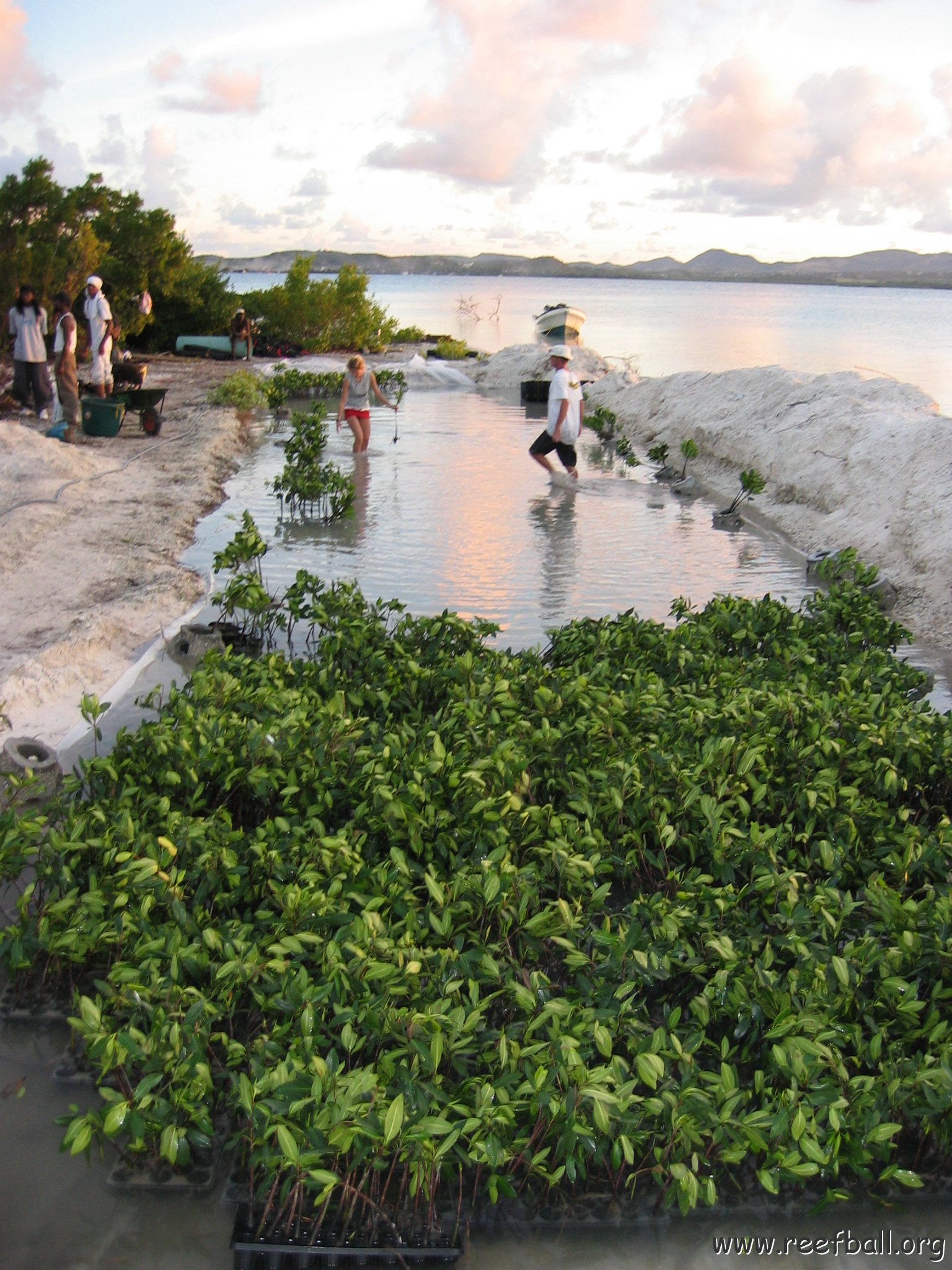 2nddaymangroves_006