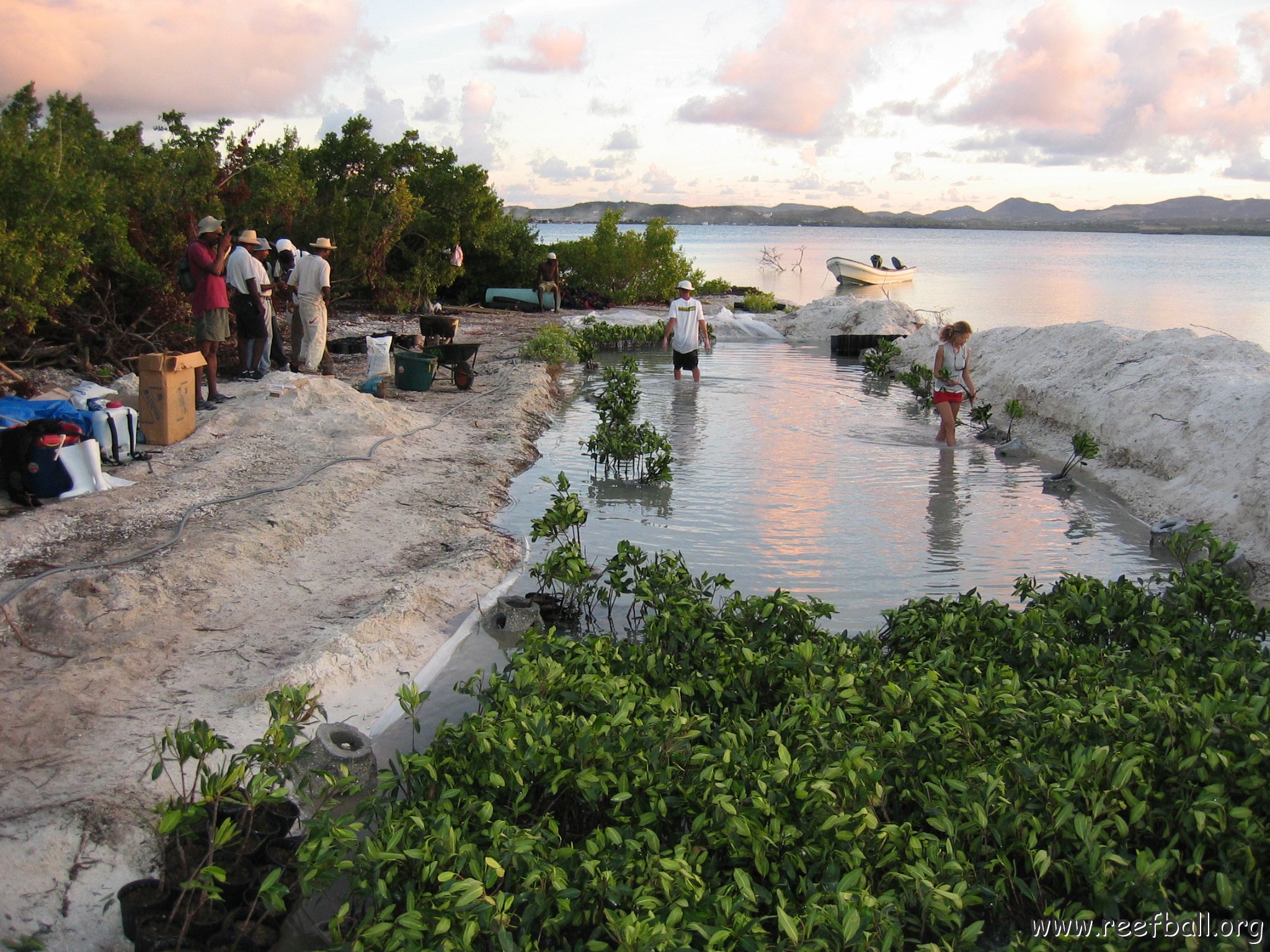 2nddaymangroves_008