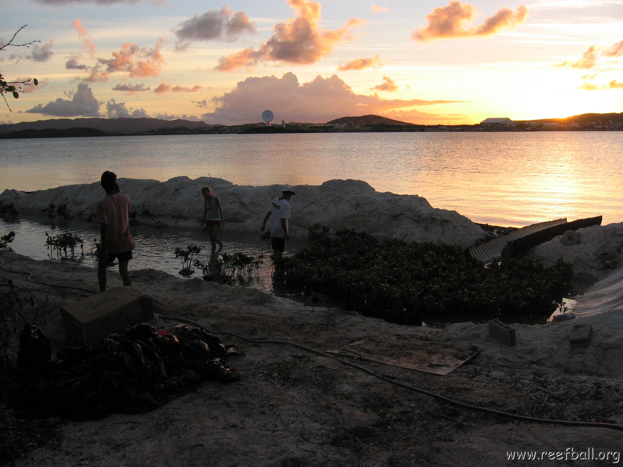 2nddaymangroves_010