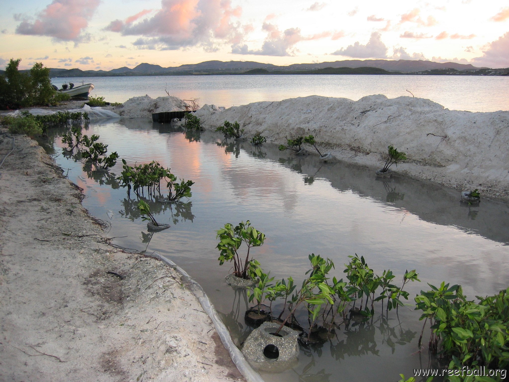 2nddaymangroves_015