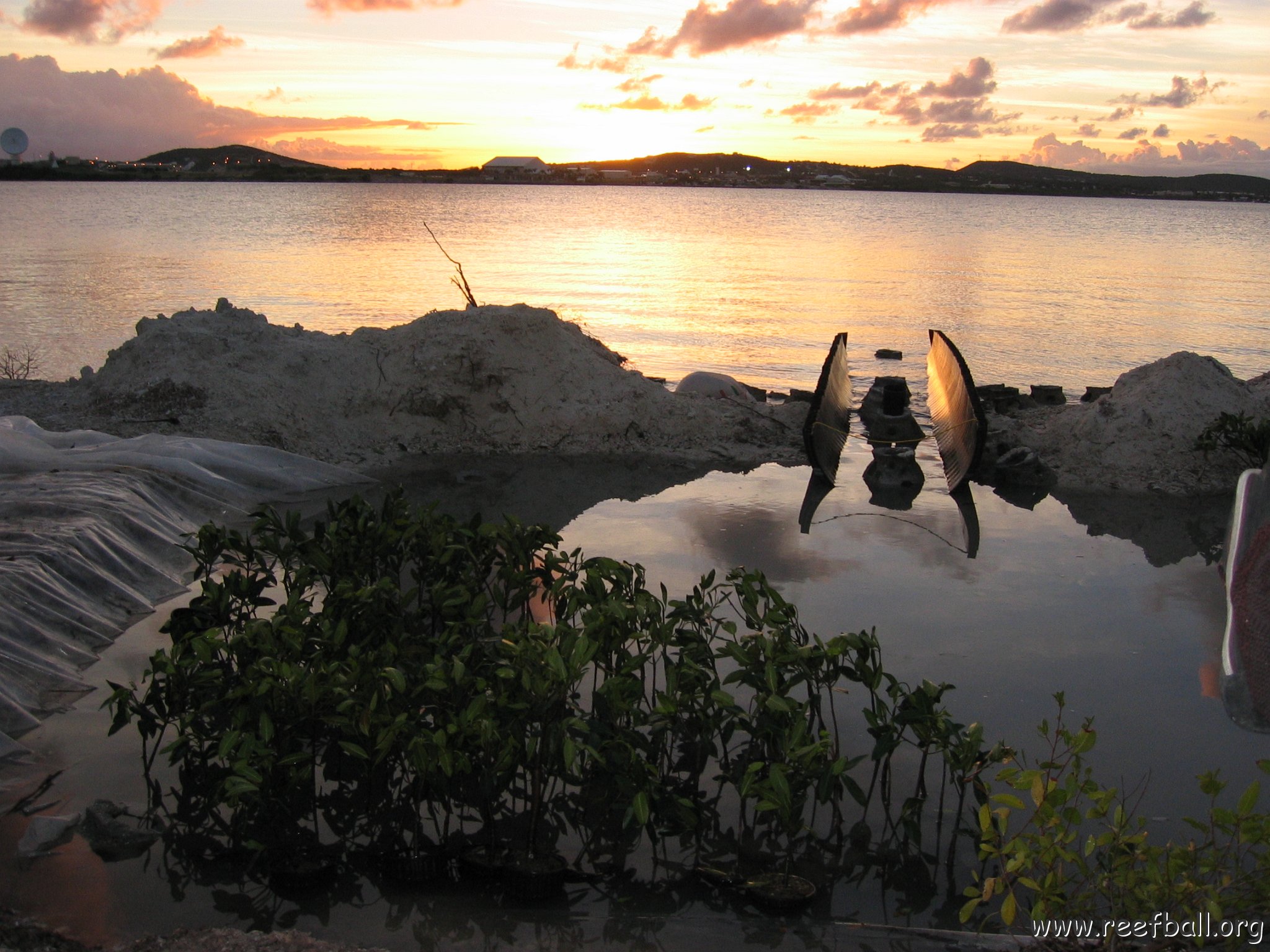 2nddaymangroves_018