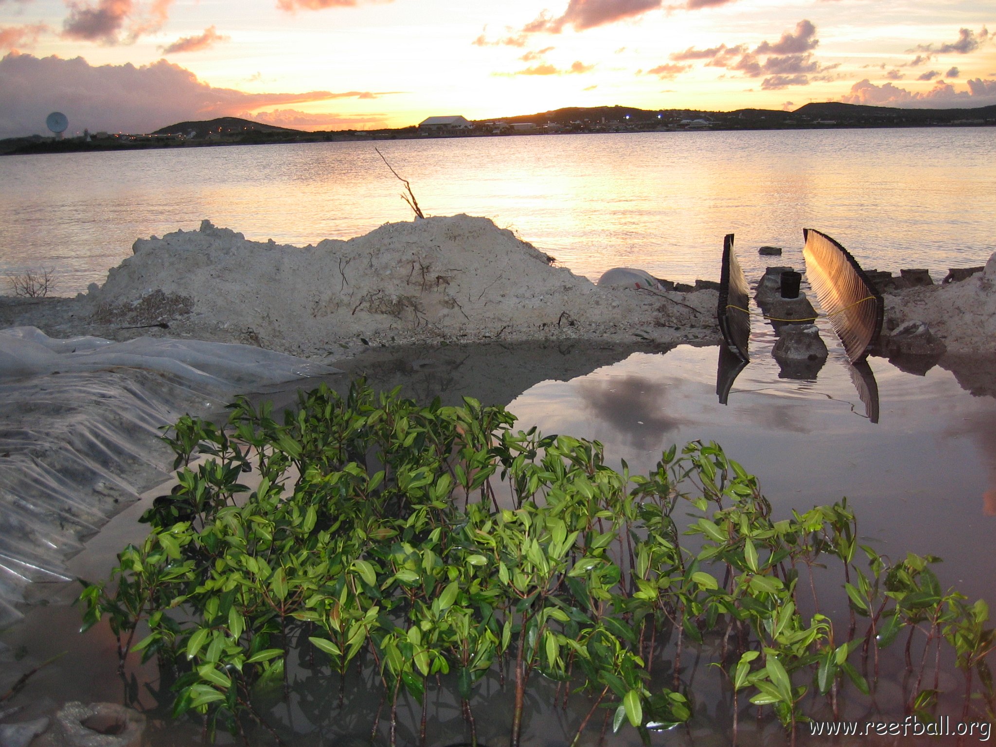 2nddaymangroves_019