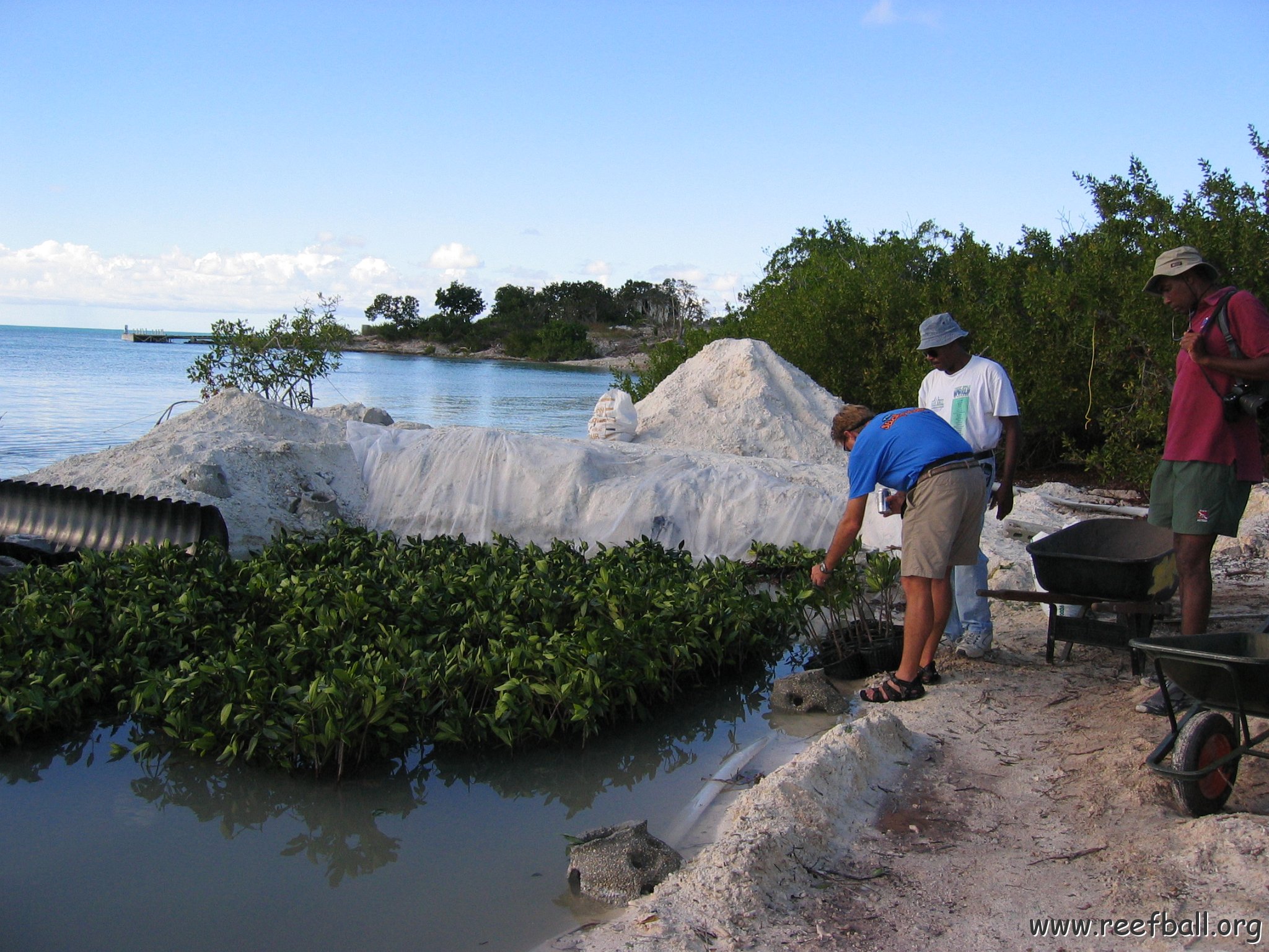 2nddaymangroves_028