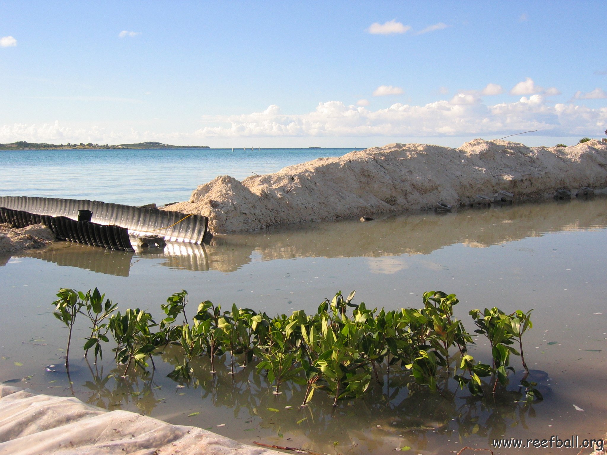 2nddaymangroves_033