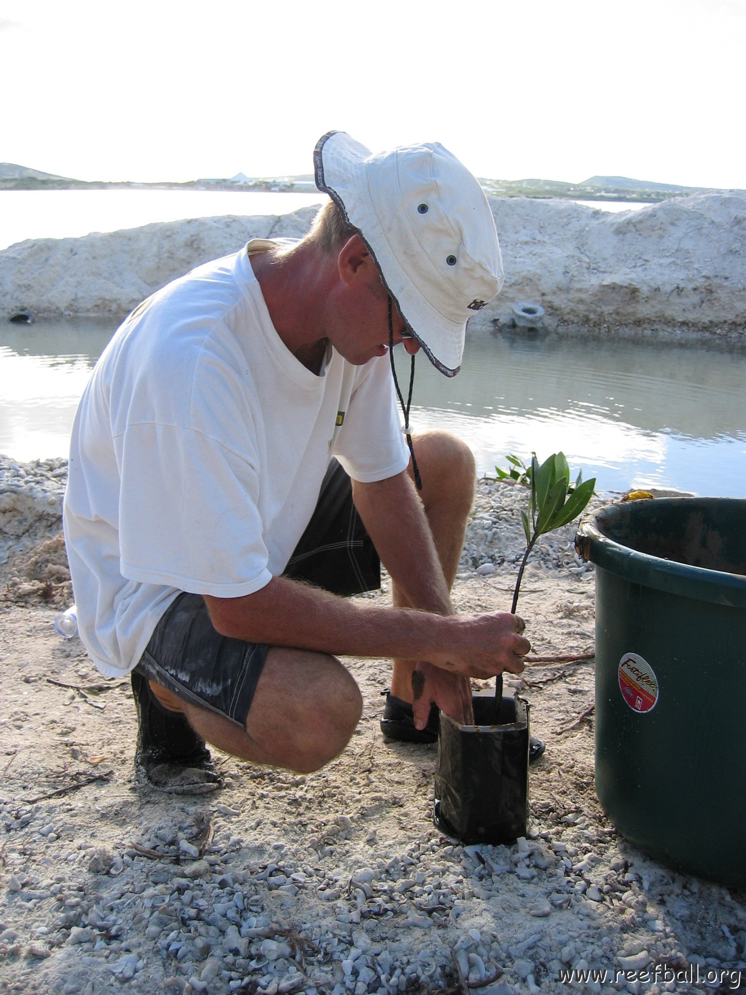 2nddaymangroves_041