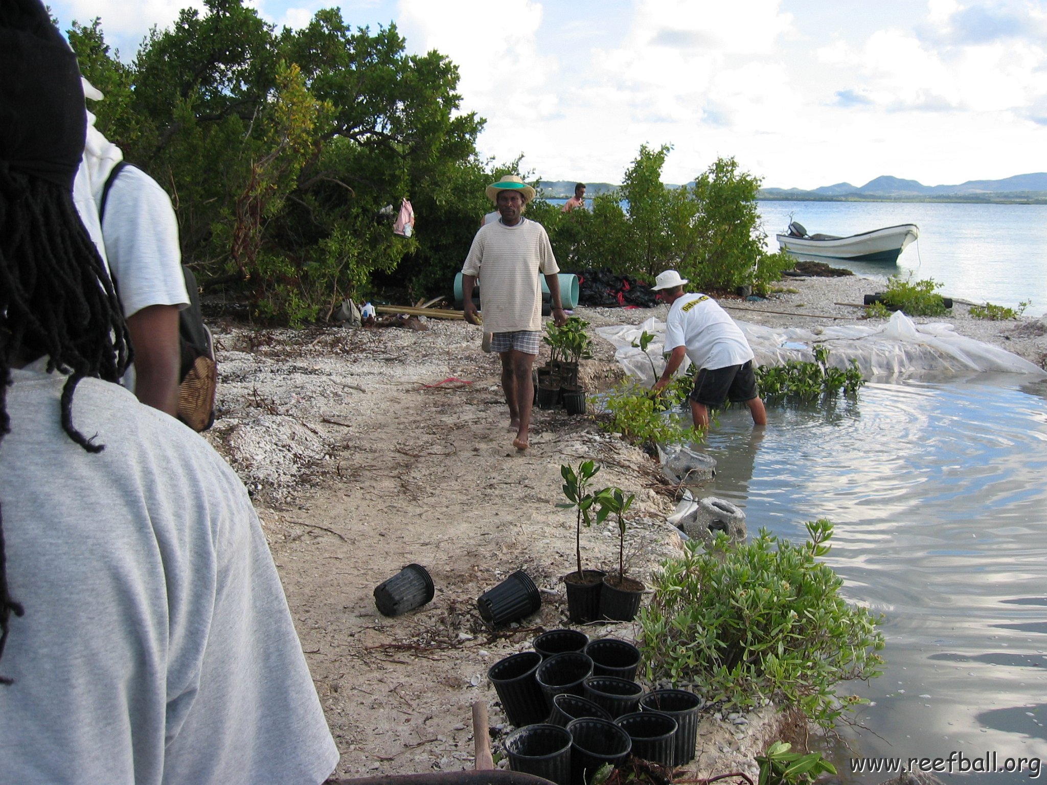 2nddaymangroves_042