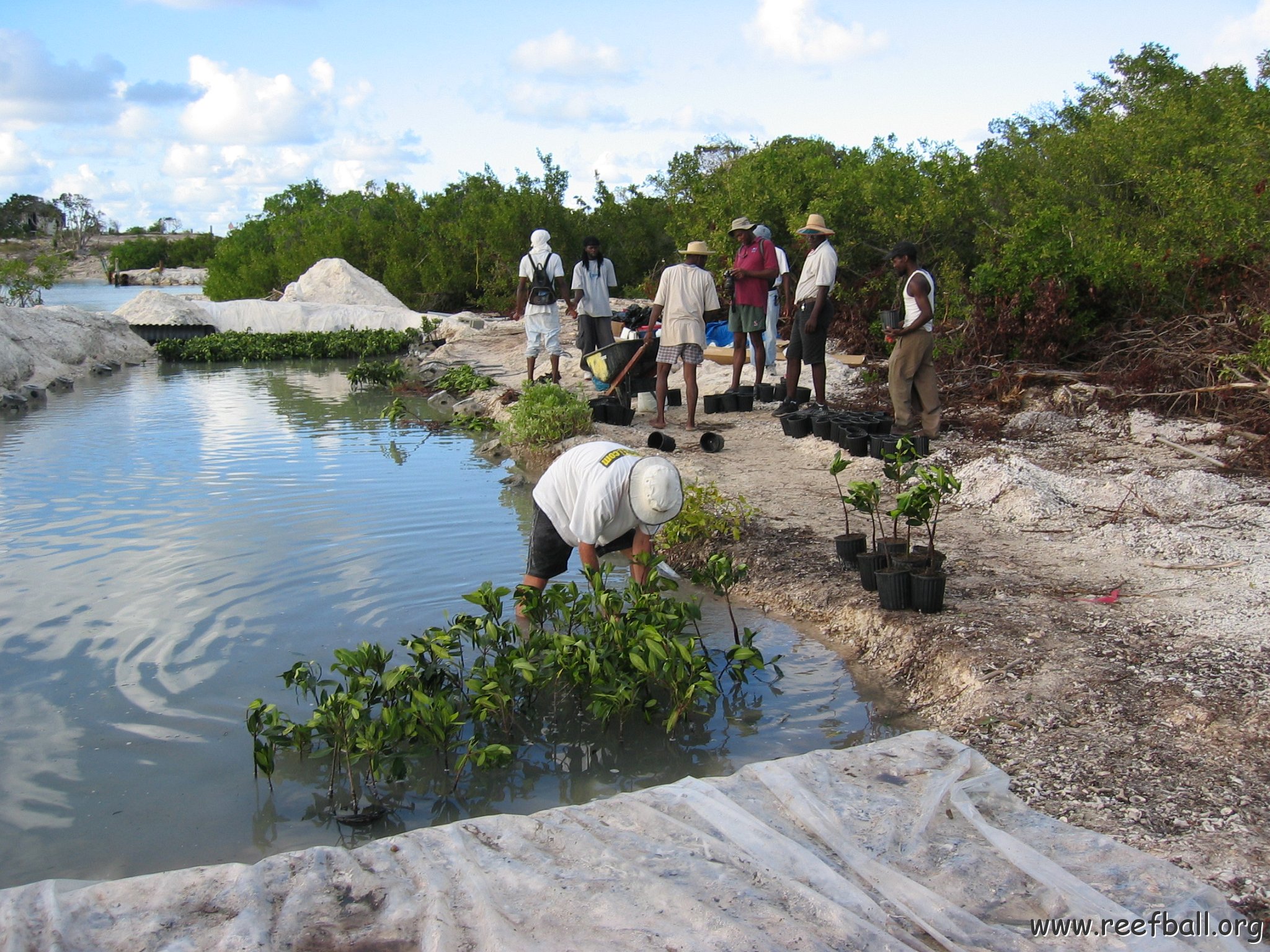 2nddaymangroves_046