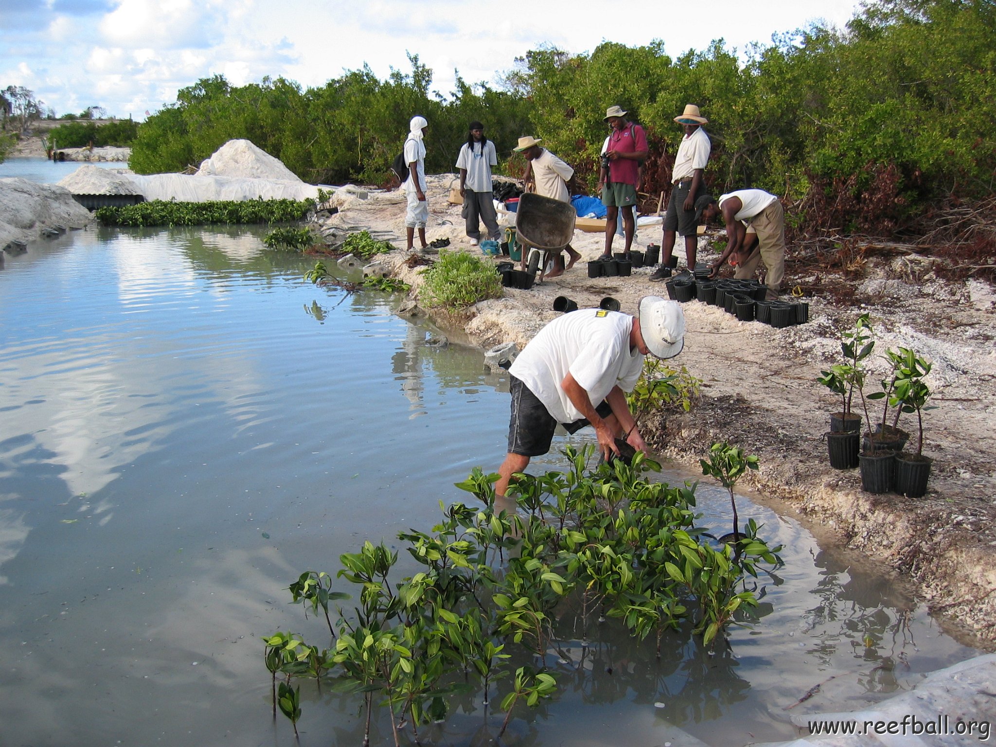 2nddaymangroves_047