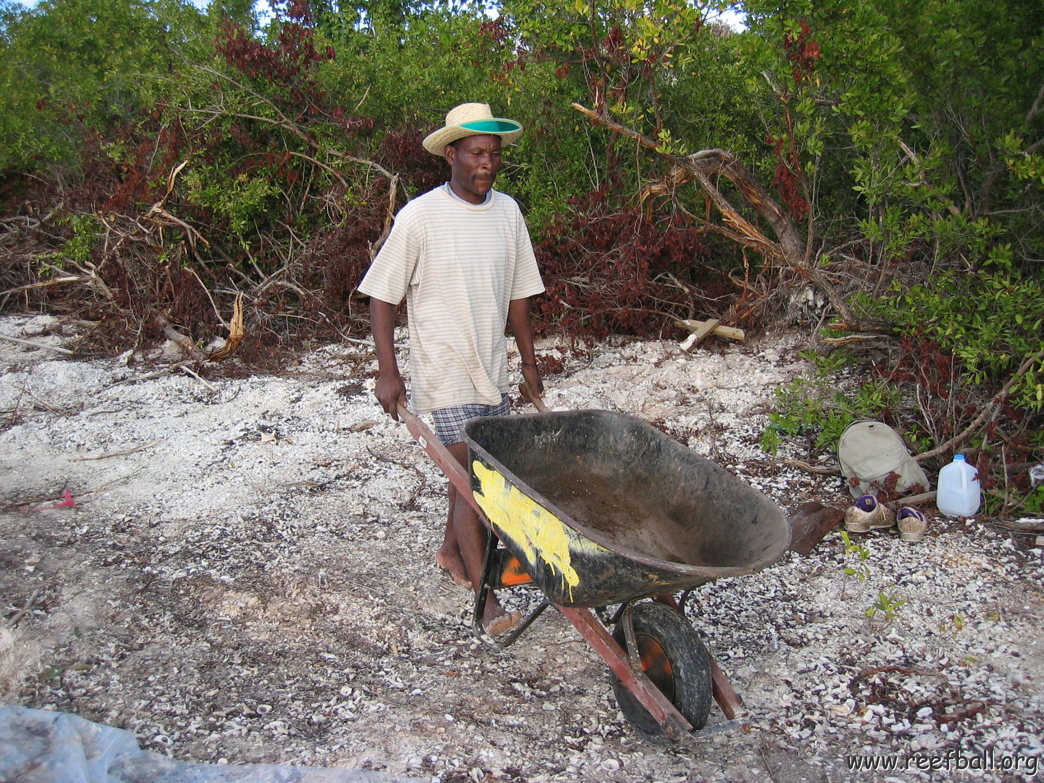 2nddaymangroves_048