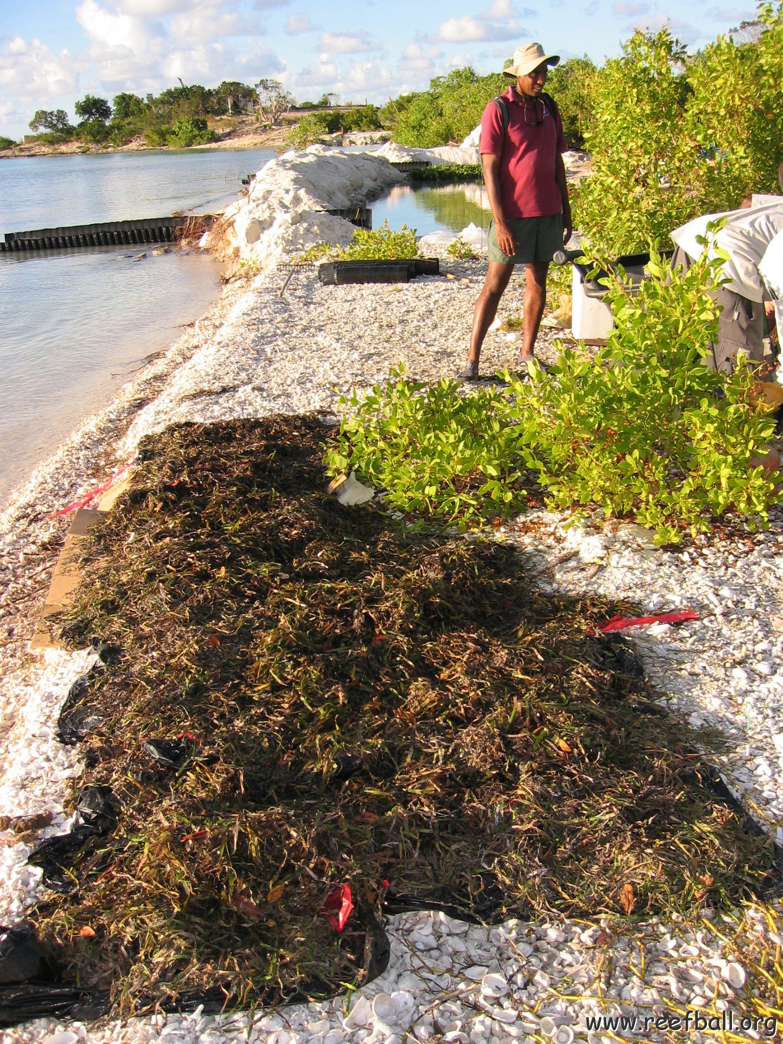 2nddaymangroves_052