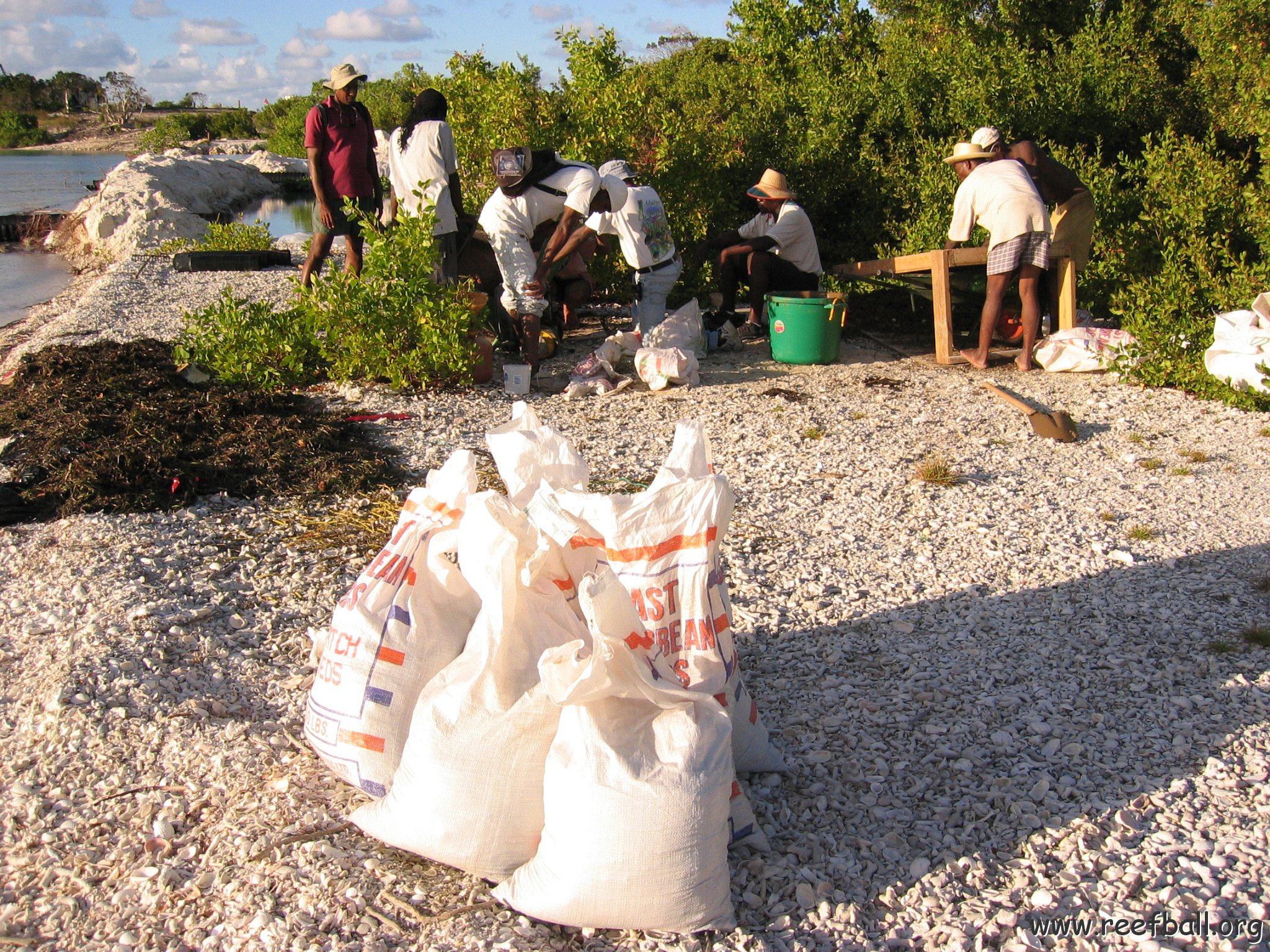 2nddaymangroves_053