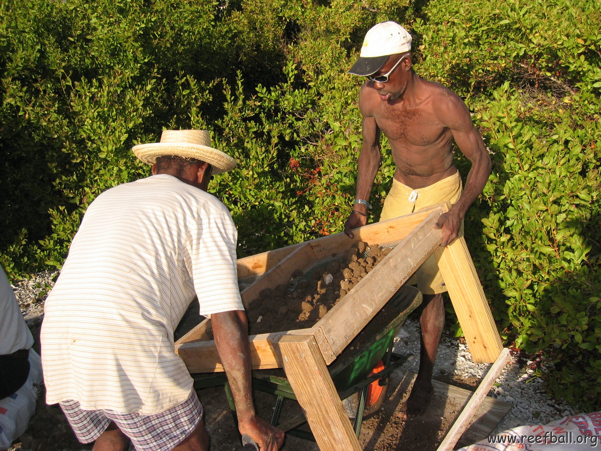 2nddaymangroves_054