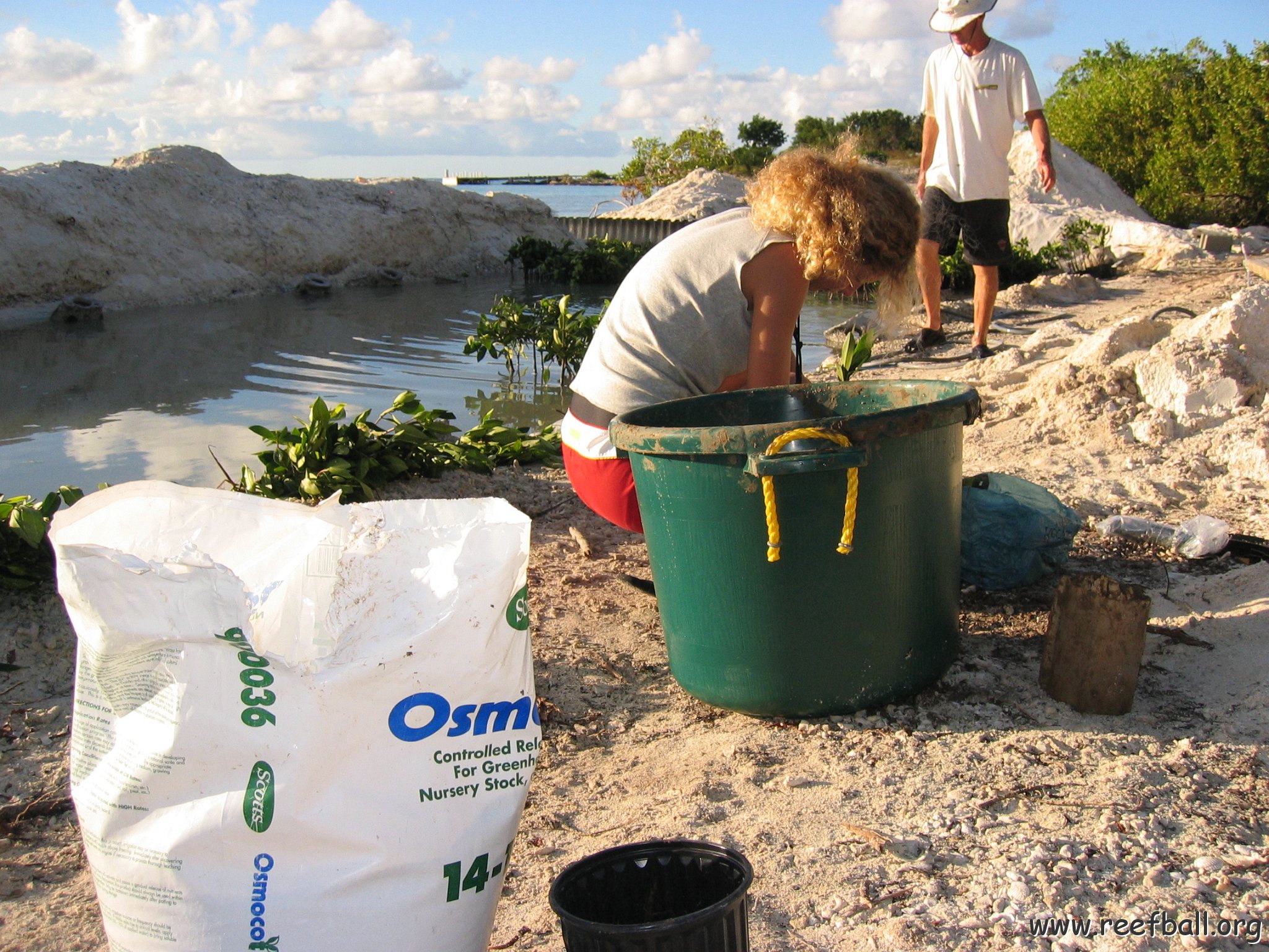 2nddaymangroves_060