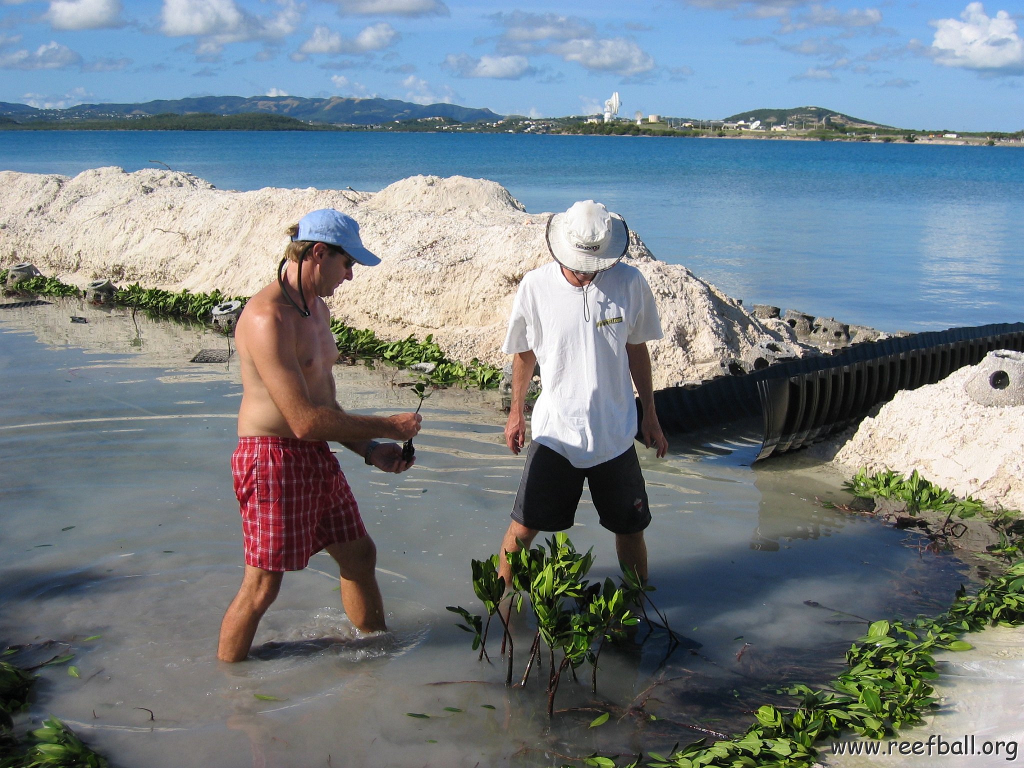 openingcontainerandfirstday4000mangroves_039