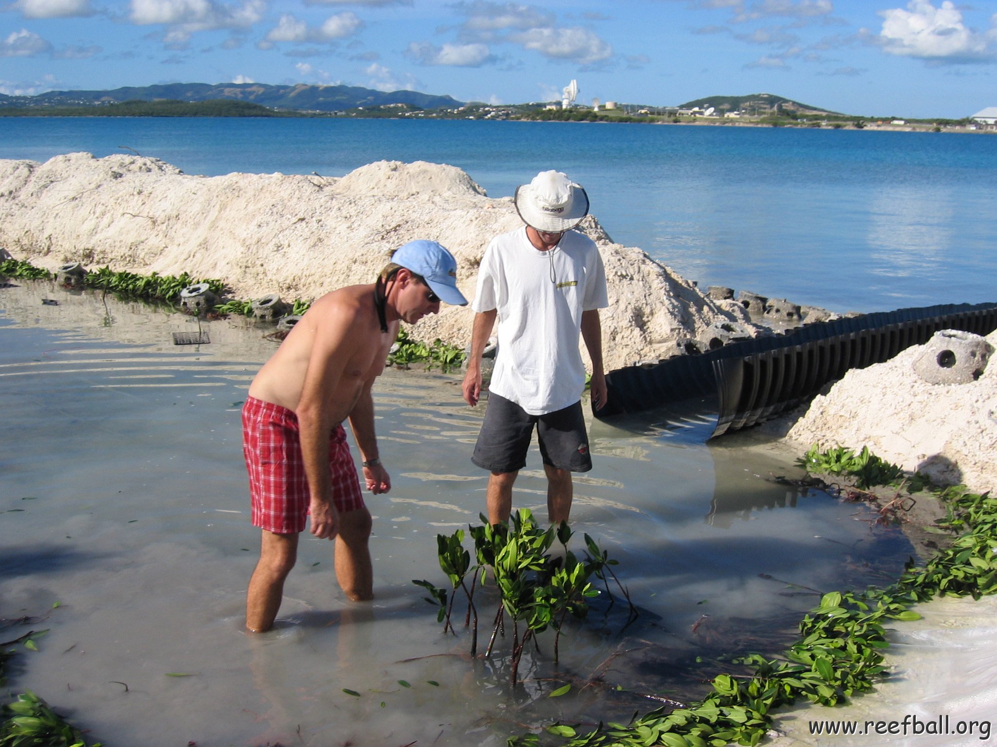 openingcontainerandfirstday4000mangroves_040