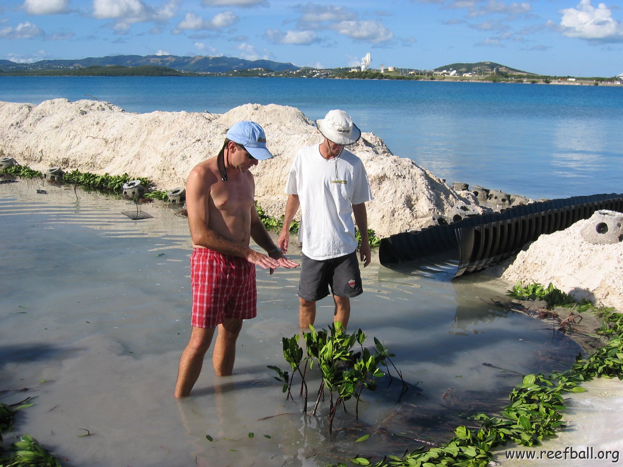 openingcontainerandfirstday4000mangroves_041