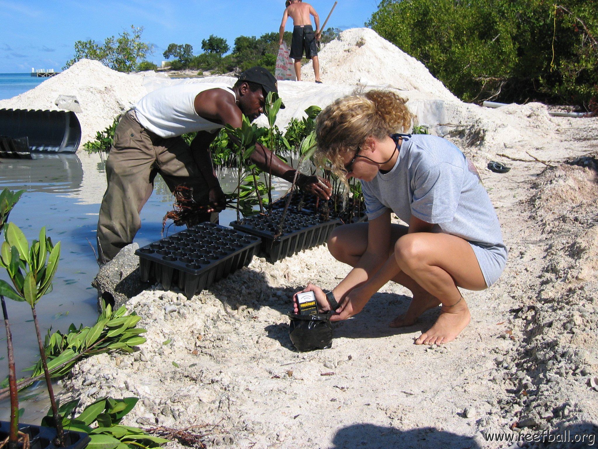 openingcontainerandfirstday4000mangroves_044