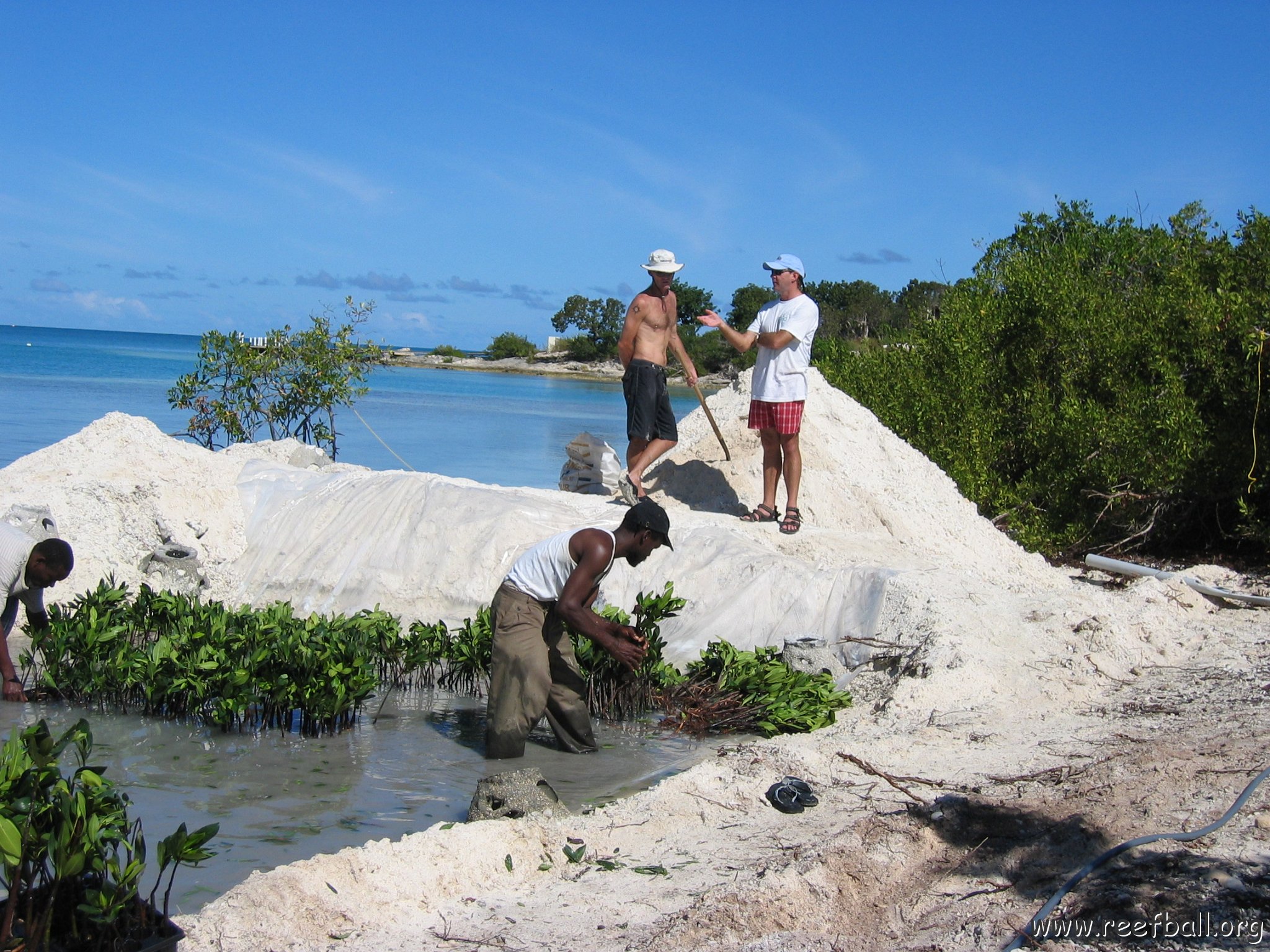 openingcontainerandfirstday4000mangroves_047