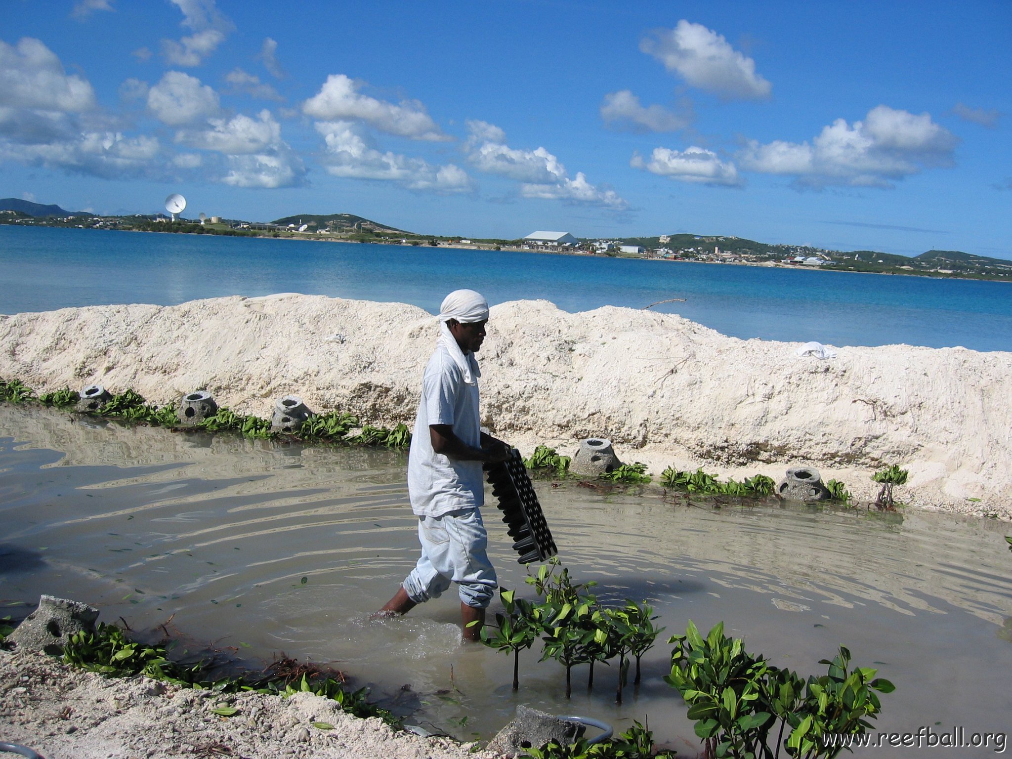 openingcontainerandfirstday4000mangroves_049