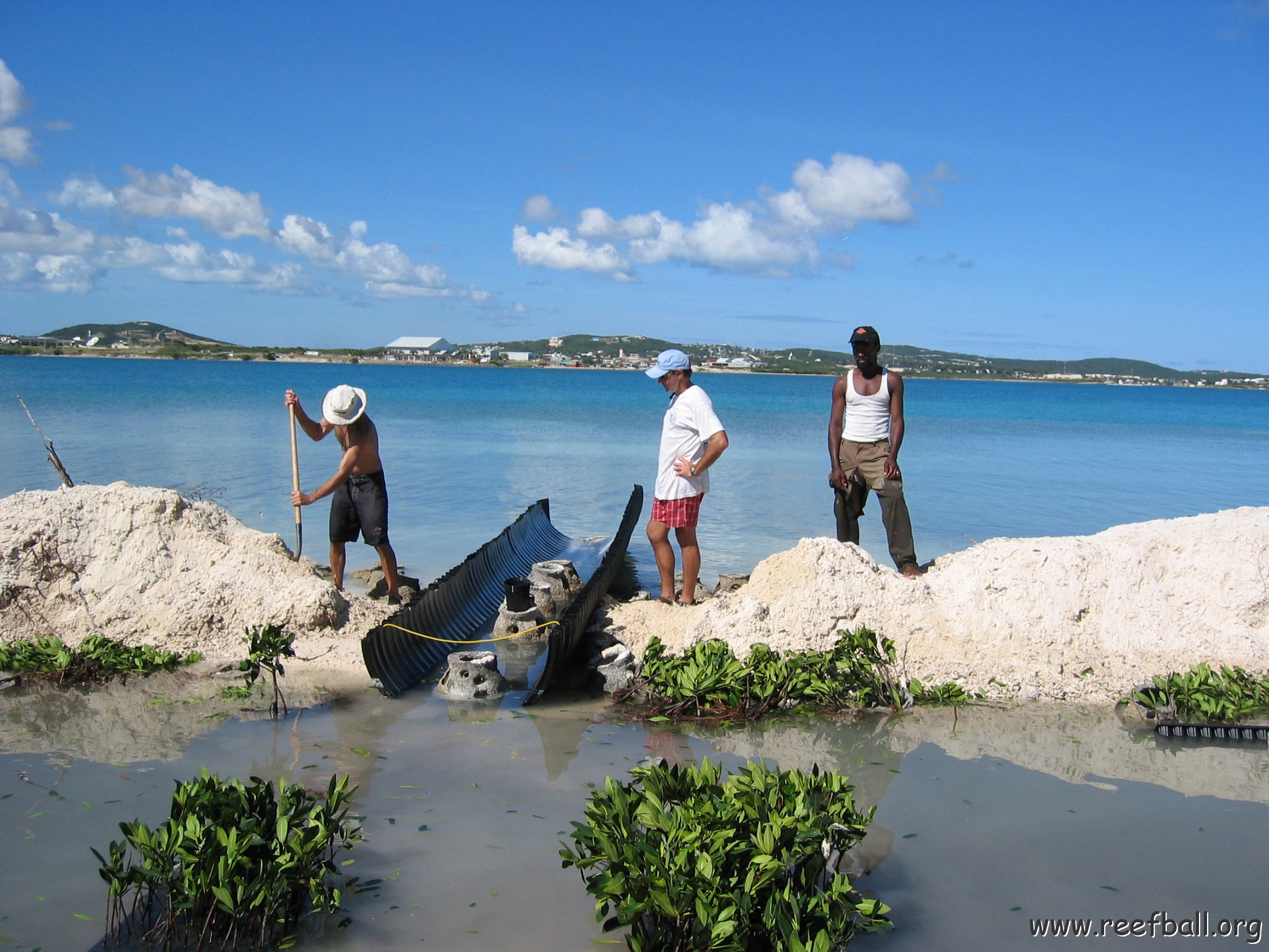 openingcontainerandfirstday4000mangroves_051