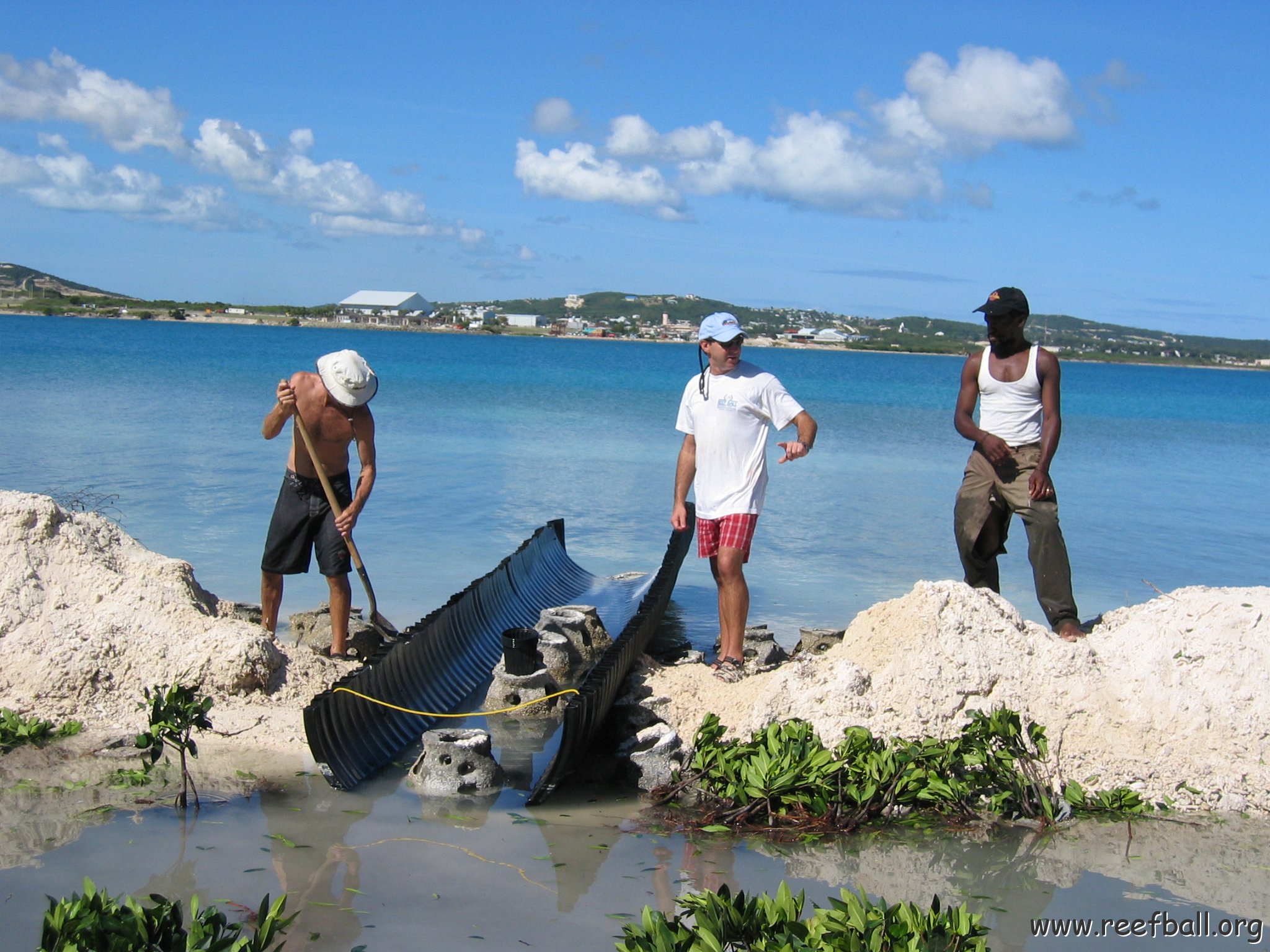 openingcontainerandfirstday4000mangroves_052