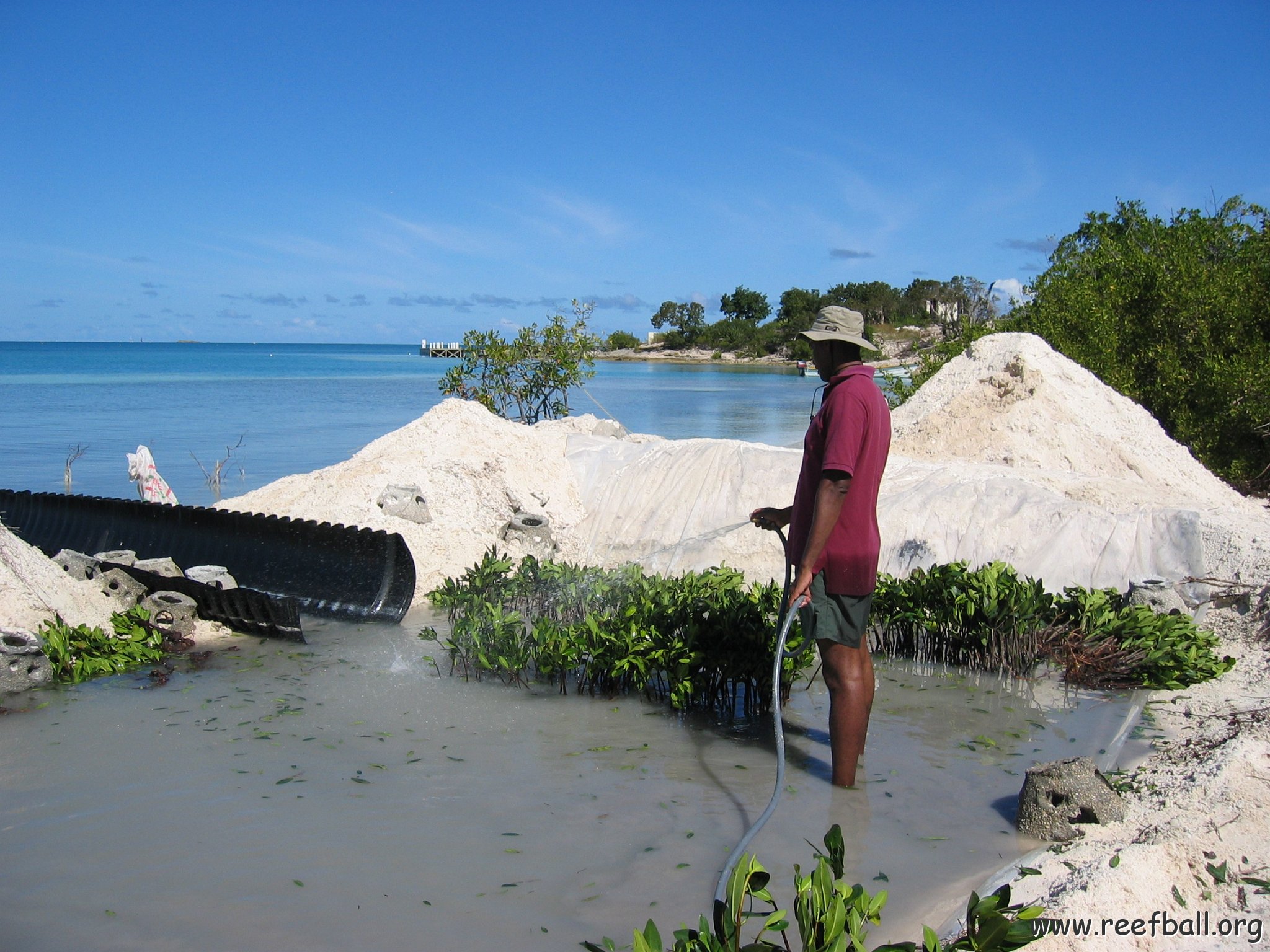 openingcontainerandfirstday4000mangroves_053