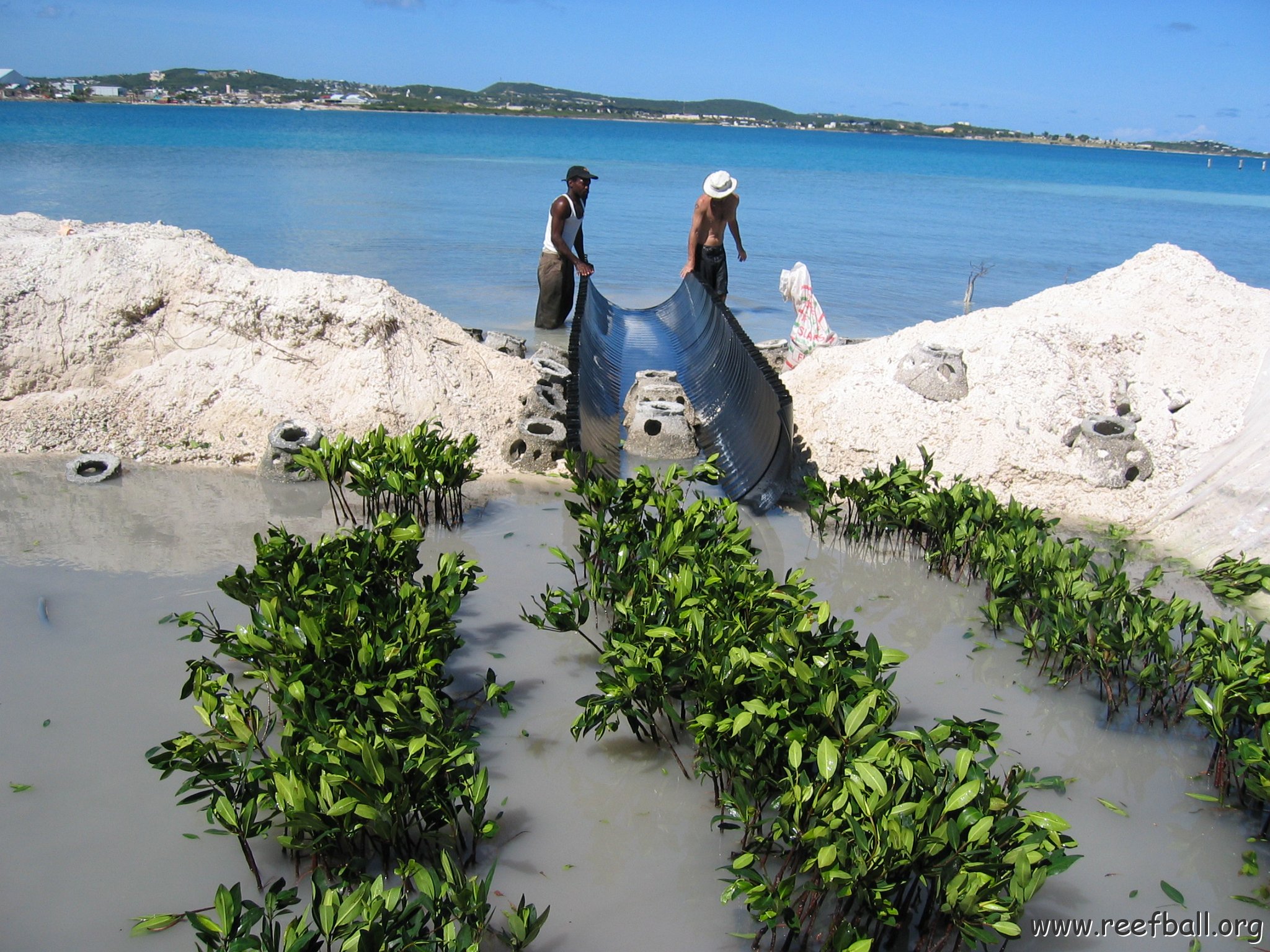 openingcontainerandfirstday4000mangroves_054