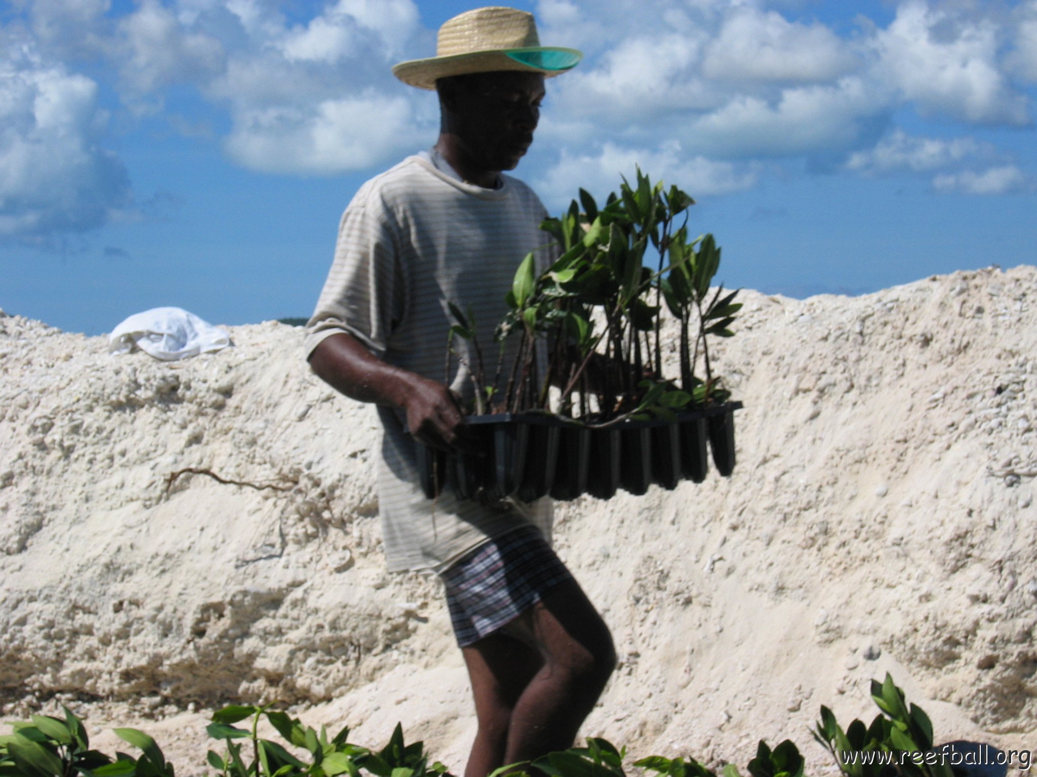 openingcontainerandfirstday4000mangroves_061