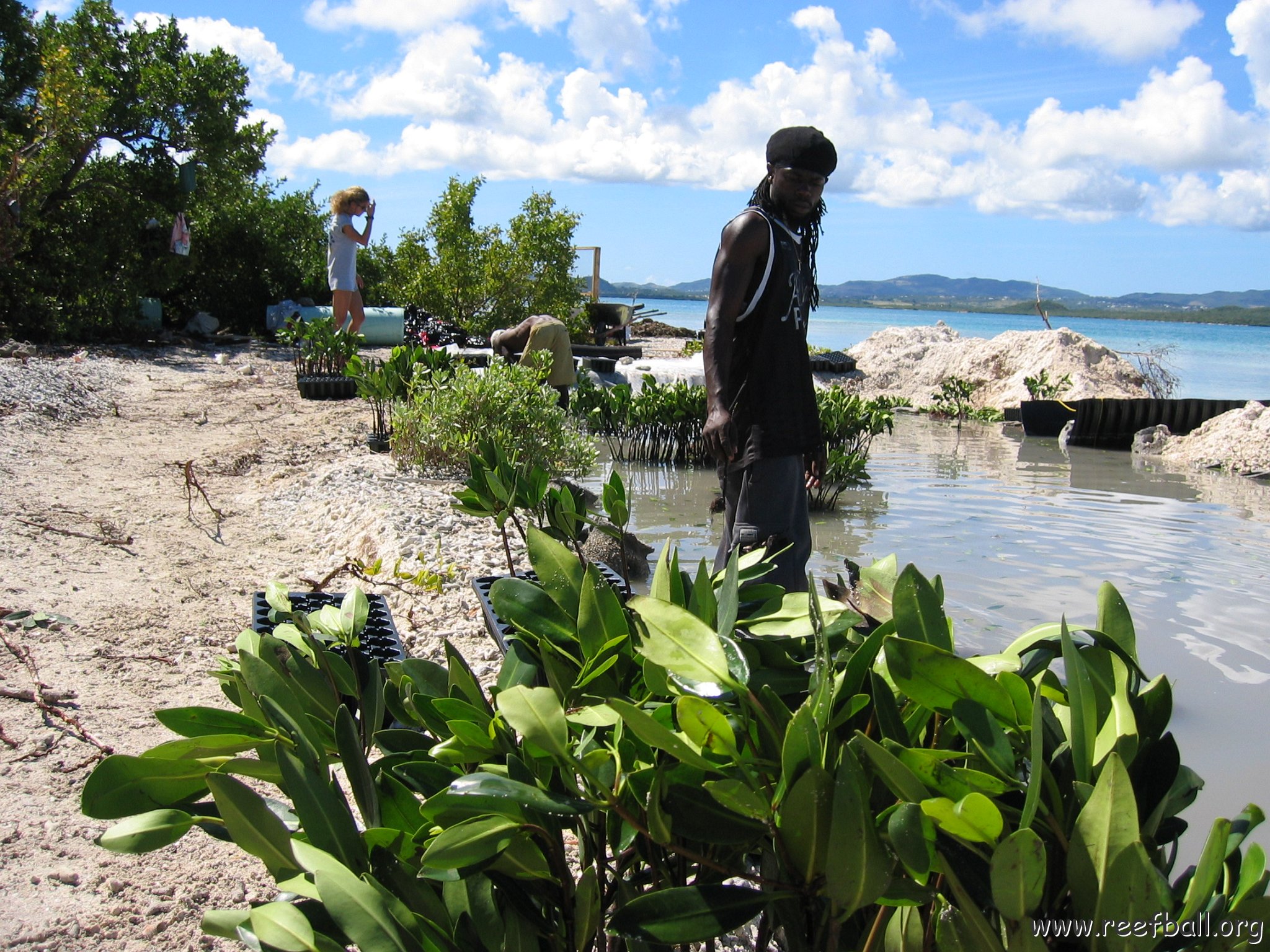 openingcontainerandfirstday4000mangroves_062