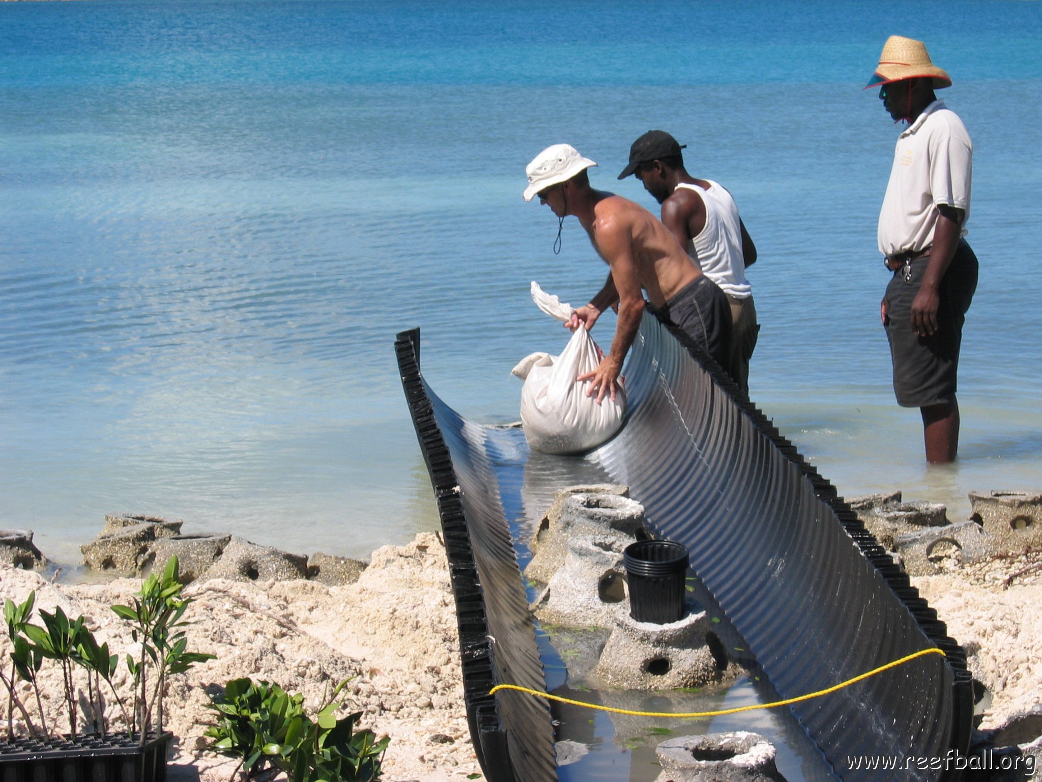 openingcontainerandfirstday4000mangroves_064