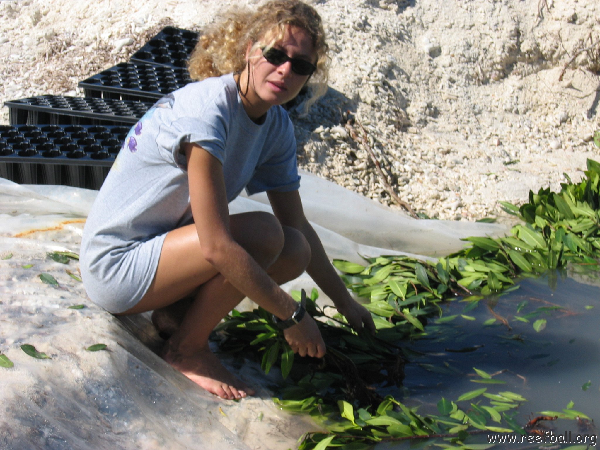 openingcontainerandfirstday4000mangroves_065