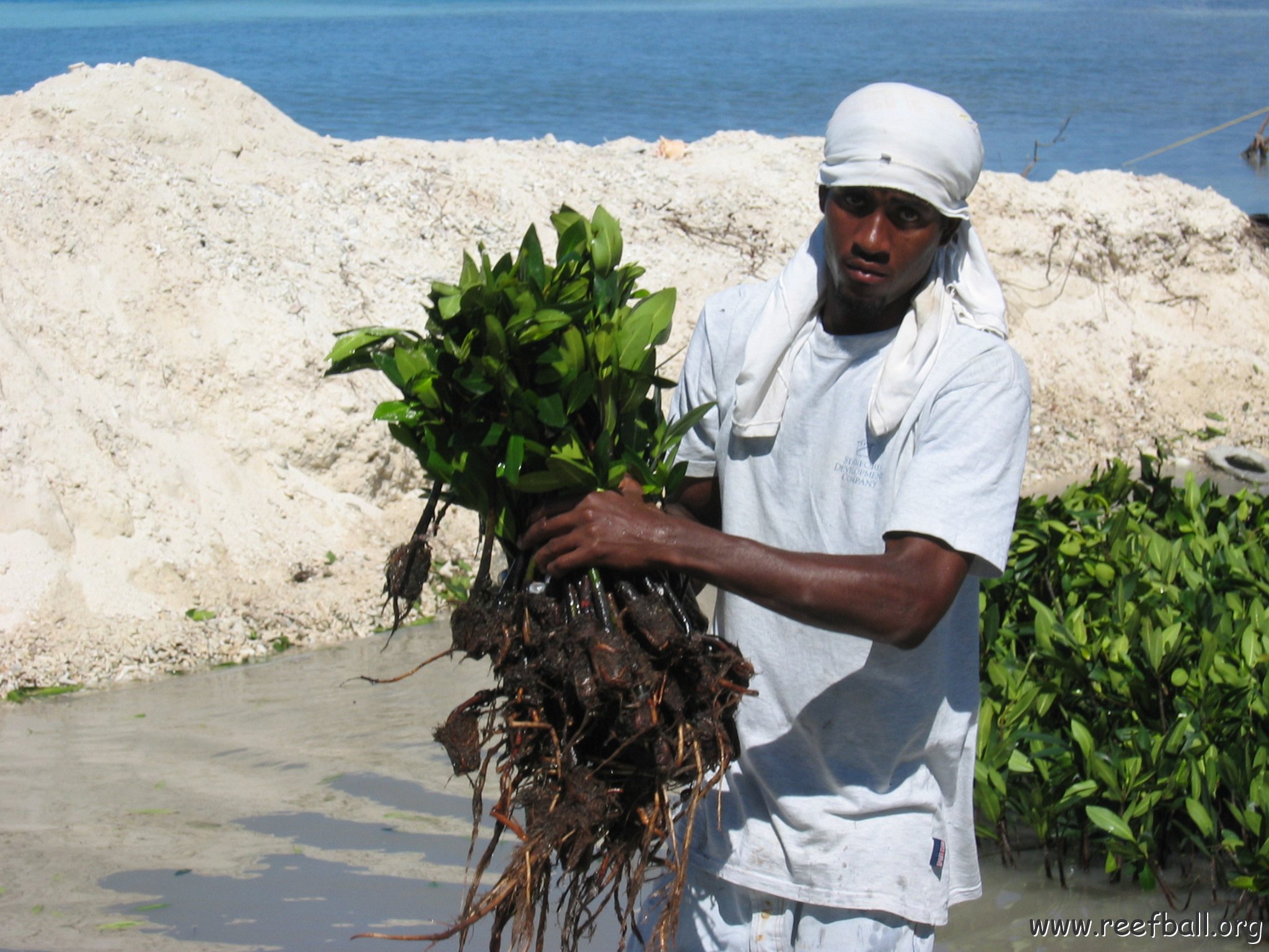 openingcontainerandfirstday4000mangroves_067