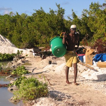 2nddaymangroves_031