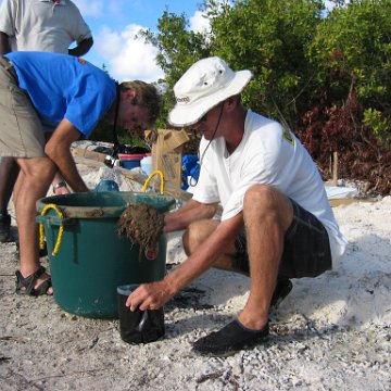 2nddaymangroves_039