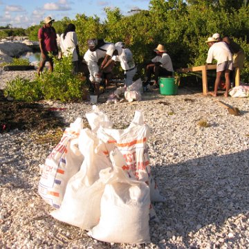 2nddaymangroves_053