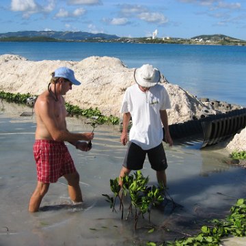 openingcontainerandfirstday4000mangroves_039