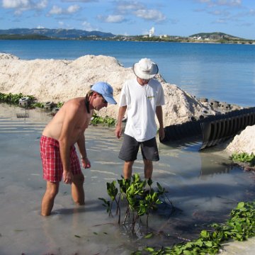 openingcontainerandfirstday4000mangroves_040